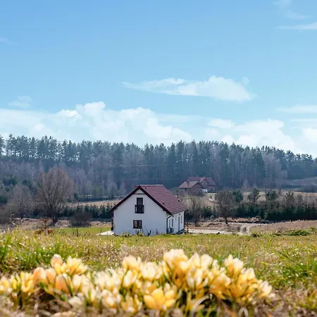 Holiday home Cozy Home In Gietrzwald With Wifi