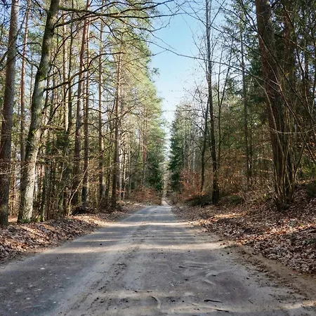 Amazing In 度假居