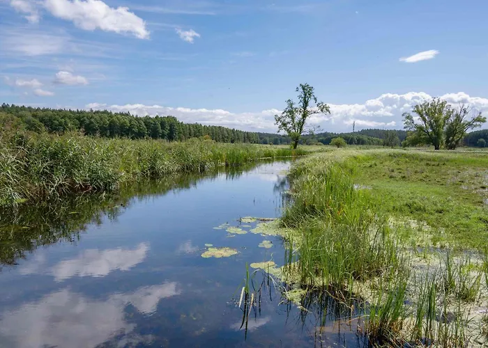 Amazing In Holiday home